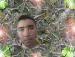 simo i'm love